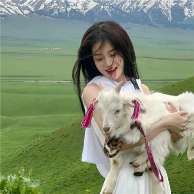 墓王之王：寒铁斗